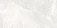 Керамическая плитка Футурис 60x30 глянцевая, Березакерамика (светло-серый)